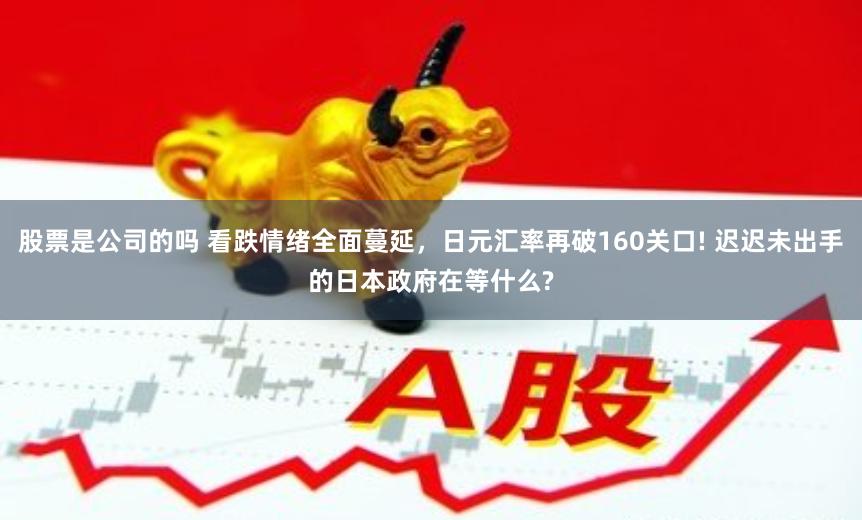 股票是公司的吗 看跌情绪全面蔓延，日元汇率再破160关口! 迟迟未出手的日本政府在等什么?