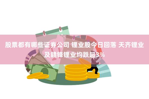 股票都有哪些证券公司 锂业股今日回落 天齐锂业及赣锋锂业均跌超3%